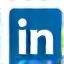 Icona LinkedIn